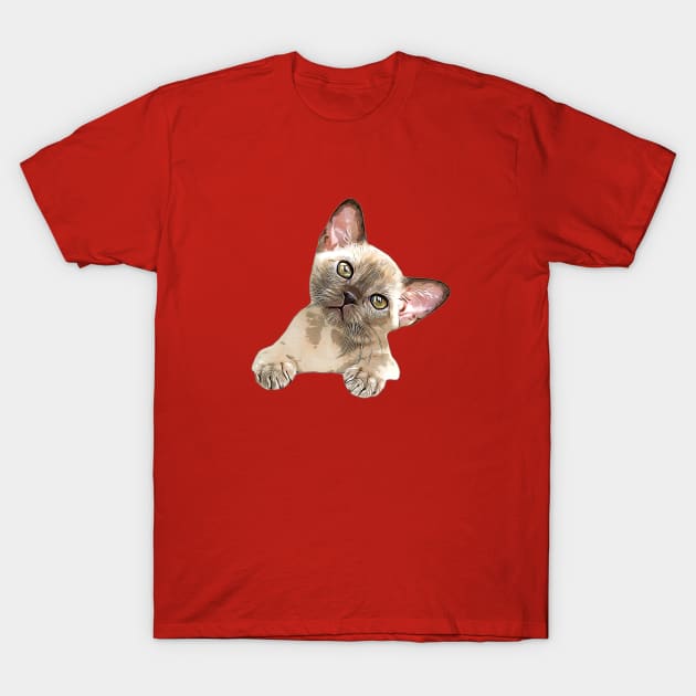 Burmese Kitten Cute Cat T-Shirt by ElegantCat